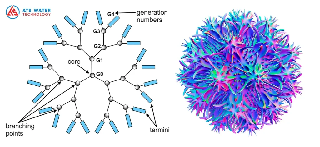 2D and 3D structure of a Dendrimer molecule