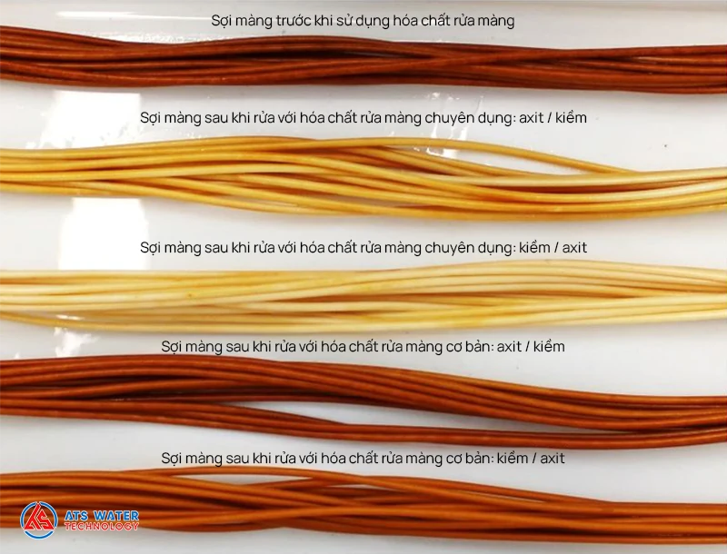 Sợi màng sau khi rửa với hóa chất chuyên dụng PWT