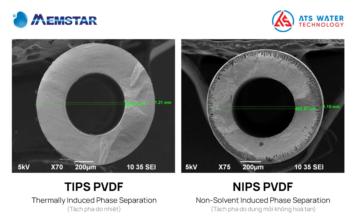 phân biệt màng MBR TIPS PVDF và NIPS PVDF