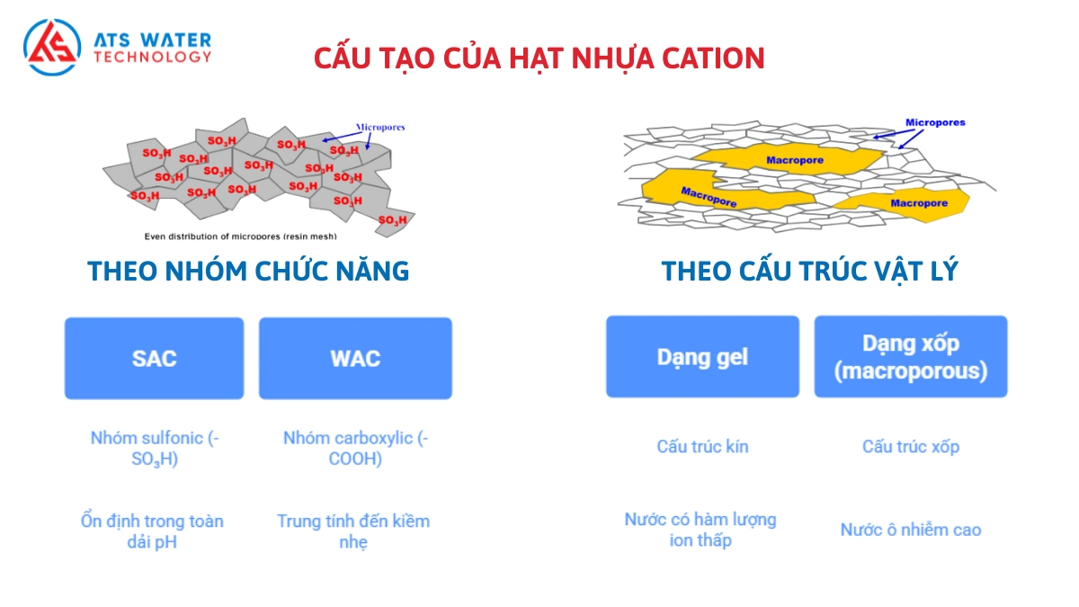 cấu tạo của hạt trao đôi ion cation
