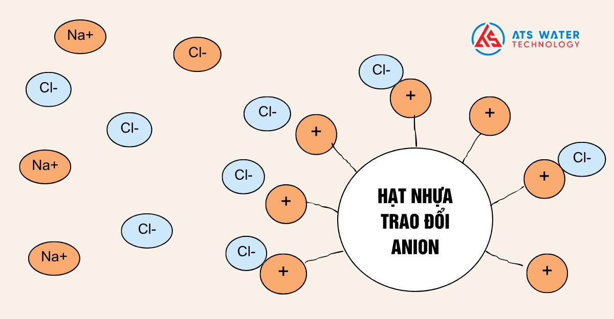 Hạt nhựa anion là gì?