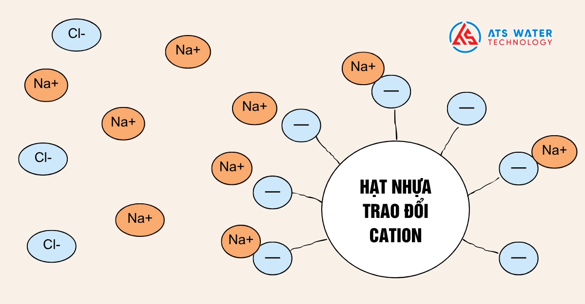 Hạt nhựa cation là gì?