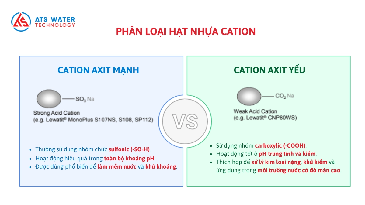 phân loại hạt cation