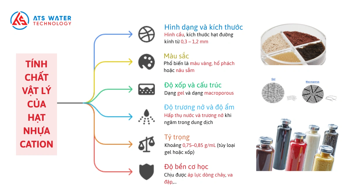 tính chất vật lý của hạt cation