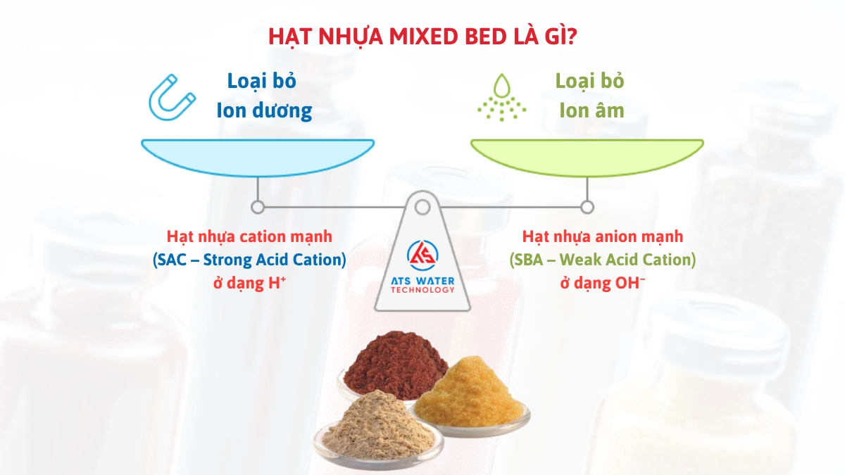 hạt mixbed là gì