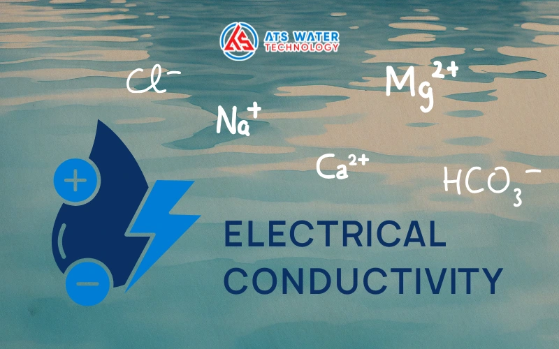 độ dẫn điện (Electrical Conductivity - EC)