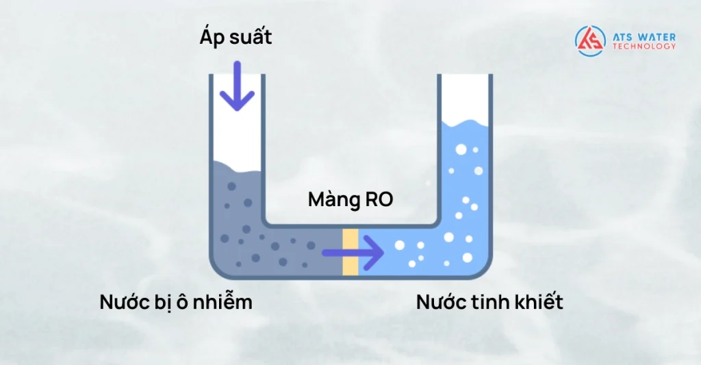 Phương pháp màng lọc