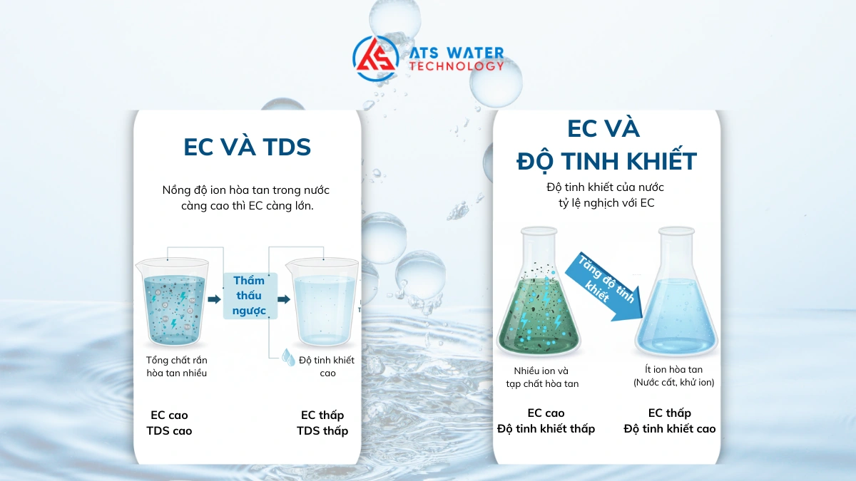 Mối quan hệ giữa chỉ số EC, TDS và độ tinh khiết của nước