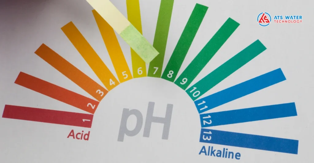 Các yếu tố ảnh hưởng đến chỉ số LSI