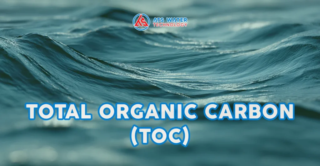 Chỉ tiêu TOC là gì?