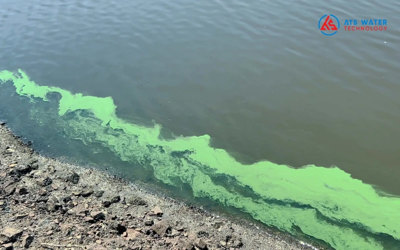 Cách xác định độ màu của nước