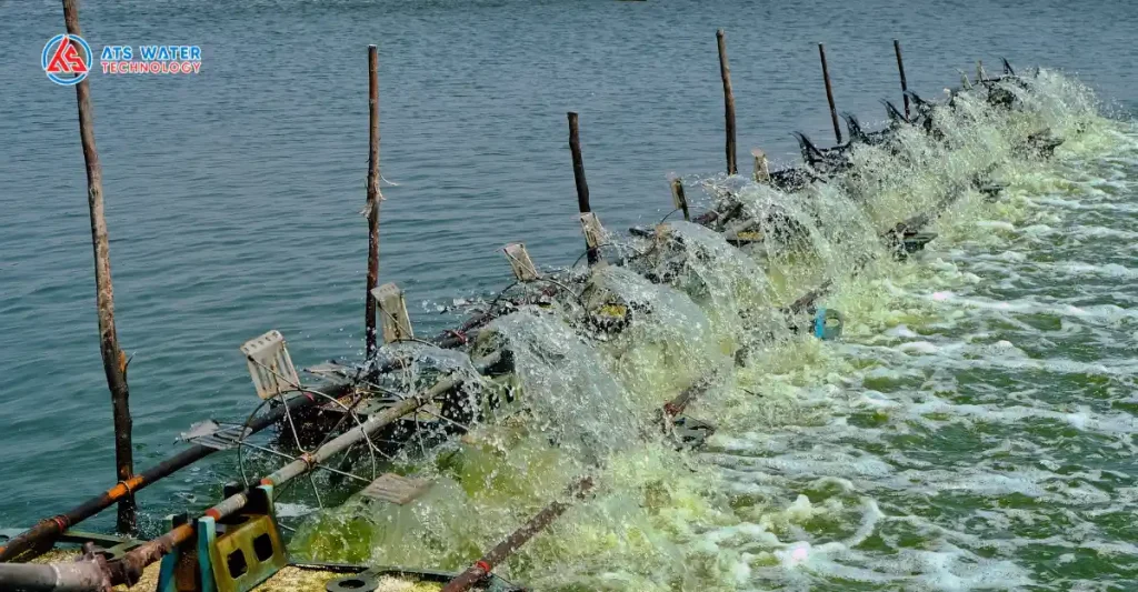 Các thiết bị trong hệ thống lọc nước nuôi tôm công nghiệp