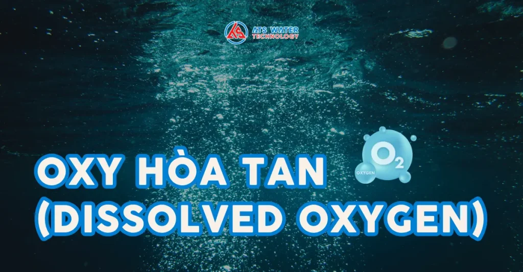Oxy hòa tan trong nước (chỉ số DO) là gì?