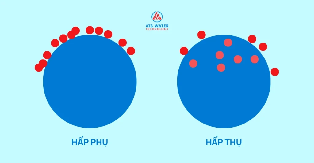 phân biệt hấp phụ và hấp thụ