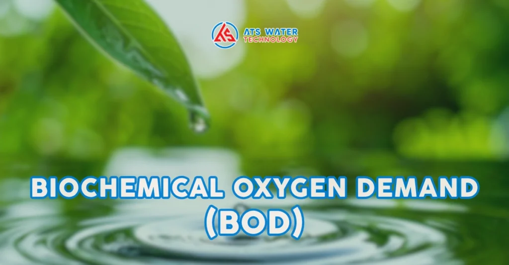 Chỉ số BOD là gì?