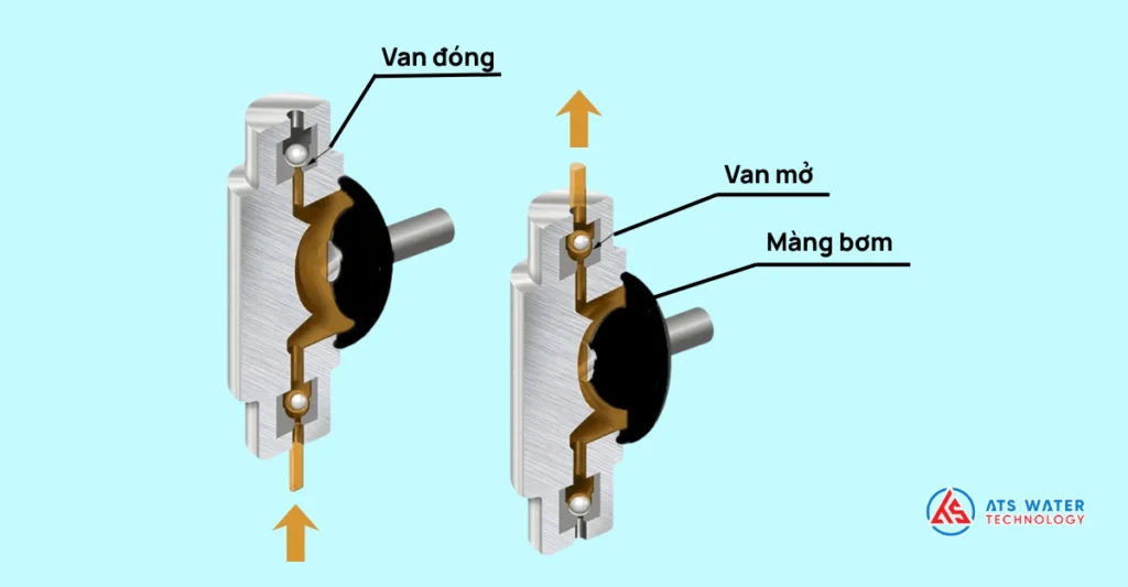 Cấu tạo và nguyên lý hoạt động của bơm màng định lượng
