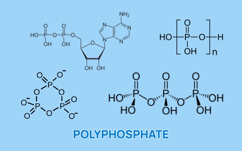 Polyphosphate là hóa chất hỗ trợ ngăn tạo cáu cặn mà không loại bỏ độ cứng của nước