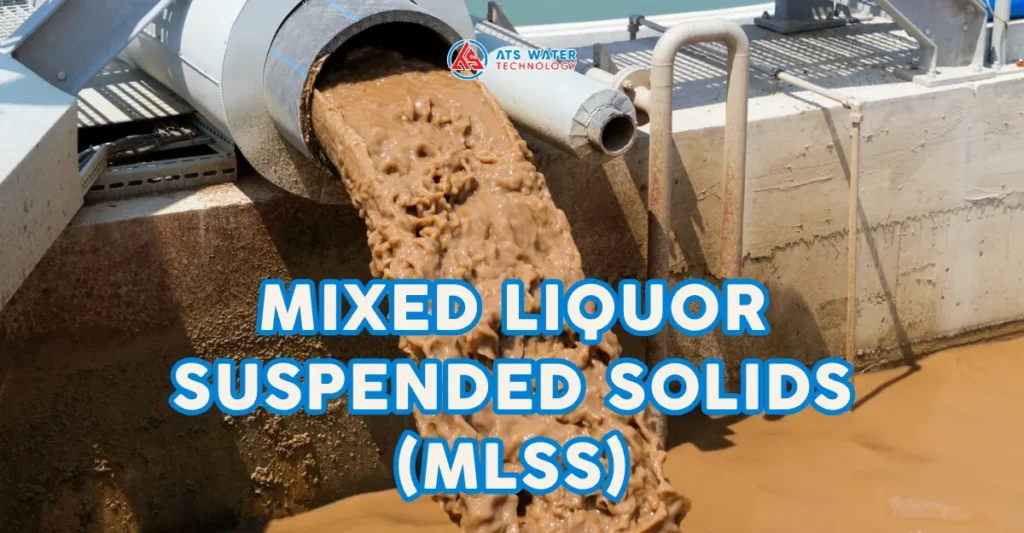 Chỉ số MLSS là gì?